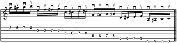 Fingerübungen auf der Gitarre 1 - Spinne über alle Saiten